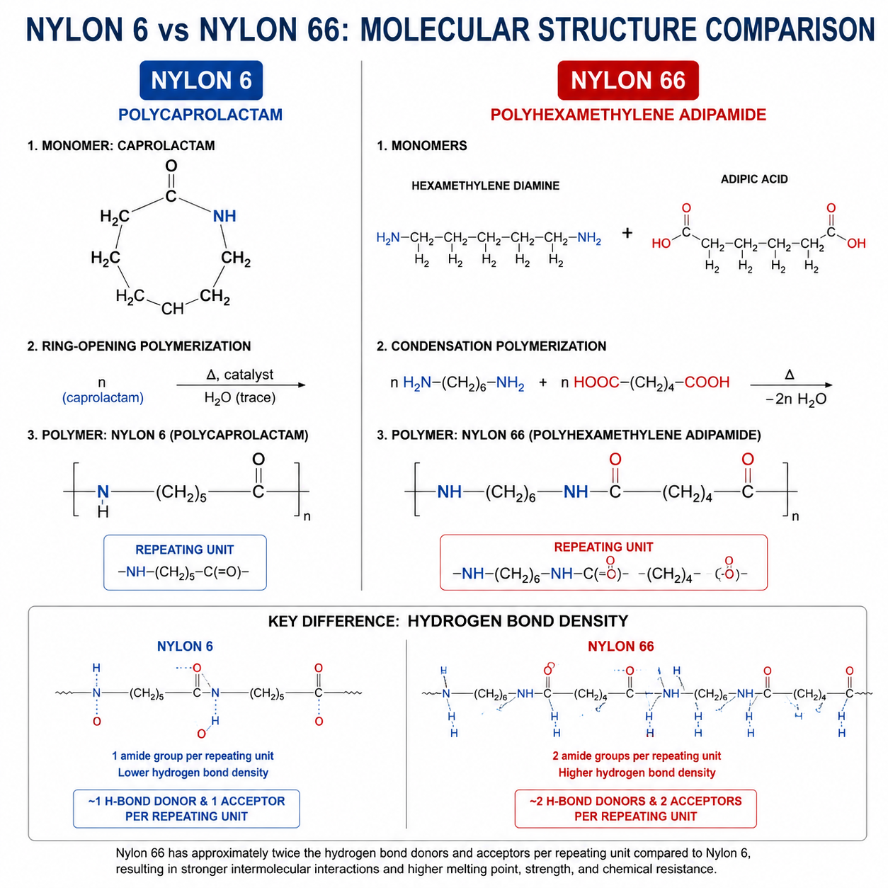 Molecular structure comparison of Nylon 6 caprolactam vs Nylon 66 linear polymer chains