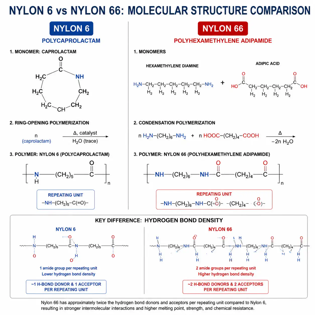 Nylon 6 vs Nylon 66 for Injection Molding: Complete Selection Guide Molecular structure comparison of Nylon 6 caprolactam vs Nylon 66 linear polymer chains