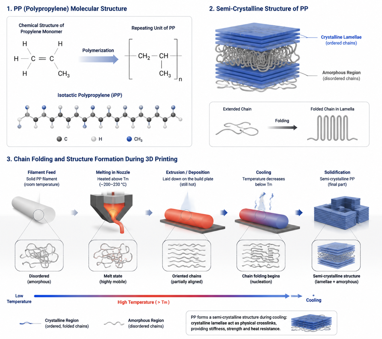 PPフィラメントの3Dプリントガイド:設定、ベッドへの密着、リビングヒンジの設計 Technical illustration showing PP molecular structure and semi-crystalline chain folding during 3D printing